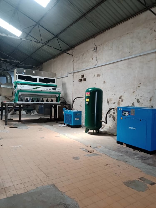 Wenyao Hazelnut Color Sorter Nuts Color Sorting Machine