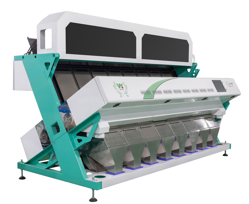 Wenyao 8 Chute Large Capacity Color Sorting Machine Chickpea Color Sorter Equipment