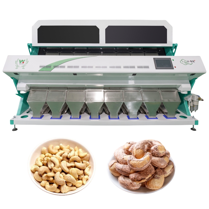 Cashew Nut Color Sorting Machine CCD Camera Intelligent Color Sorter For Nuts Beans