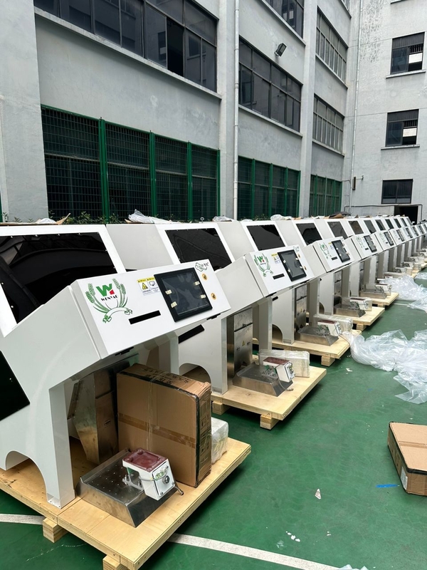 Professional Nut Color Sorter Machine Sorting Equipment Machine Color Sorter