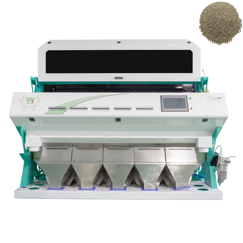 Wenyao High Capacity 1000kg CCD Cilantro Seed Color Sorting Machine Parsley Seed Color Sorter