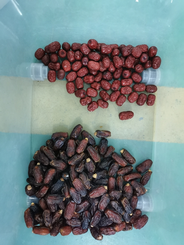 Red Jujube Color Sorting Machine Automatic Color Sorter For Nuts Beans