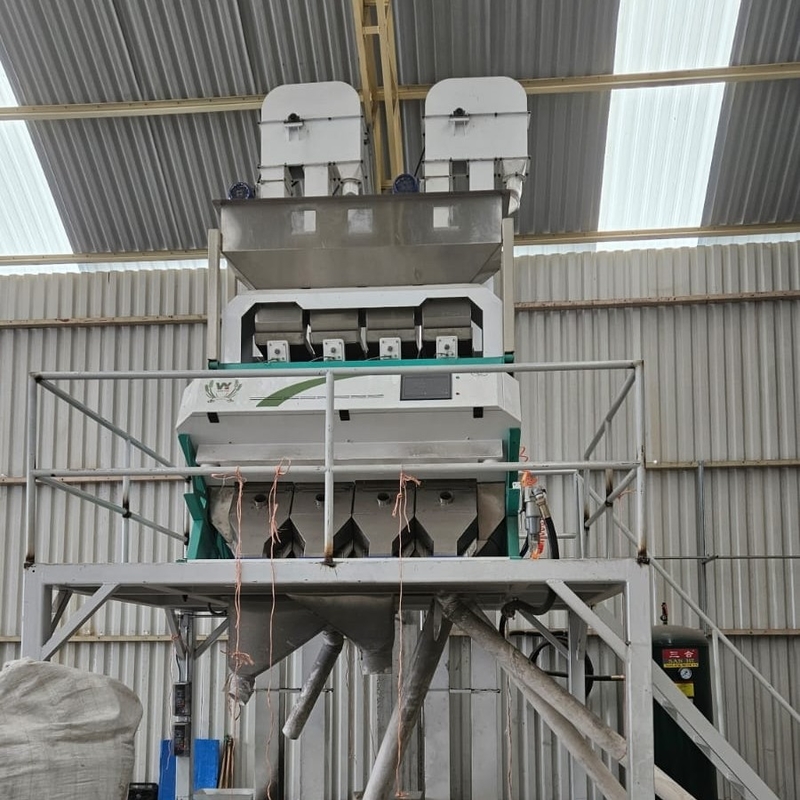 Wenyao Chinese Factory Direct Sale Color Sorter Multifunction Kidney Bean Color Sorting Machine
