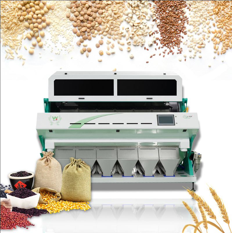 Buckwheat Grain Optical Colour Sorter Coffee Cleaning Color Sorter Machine Grading Color Sorter Separating For Wheat Barley Corn