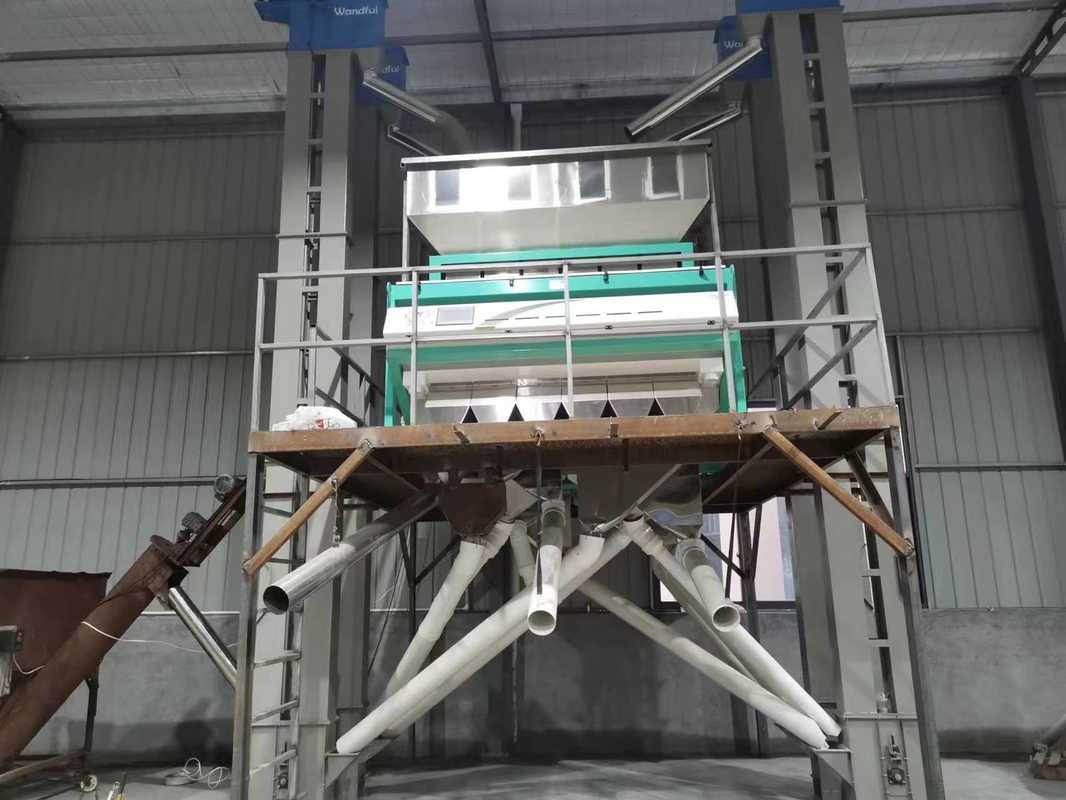 Wenyao 12 Chute Large Capacity Wheat Color Sorting Machine Automatic Grain Color Sorter