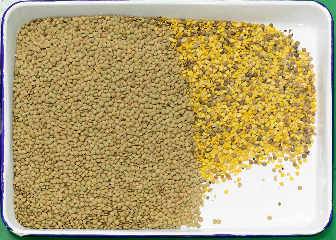 Wenyao Multifunction Lentil Color Sorter Intelligent Color Sorting Machine For Beans Rice
