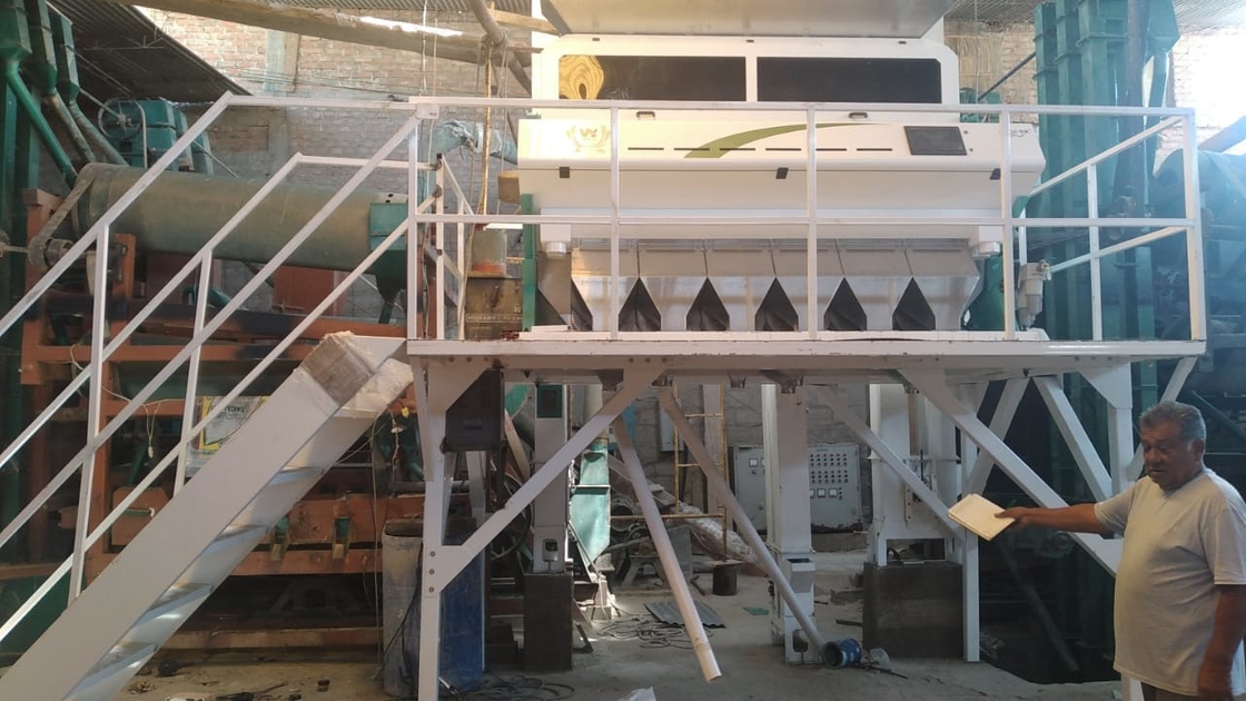 Intelligent CCD Camera Color Sorter 6 Chute Flax Seeds Color Sorting Machine