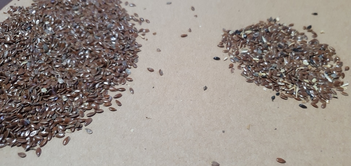 Intelligent CCD Camera Color Sorter 6 Chute Flax Seeds Color Sorting Machine