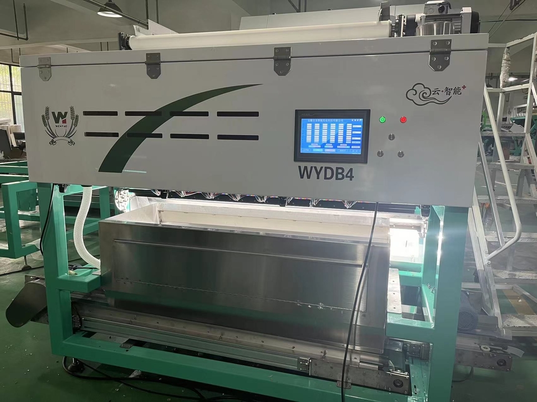 Wenyao Strawberry Color Sorter Intelligent Belt Color Sorting Machine for Frozen Fruit Coffee Cherry Blueberry Strawberry