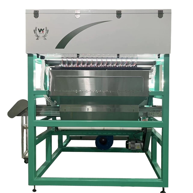 Wenyao Strawberry Color Sorter Intelligent Belt Color Sorting Machine for Frozen Fruit Coffee Cherry Blueberry Strawberry