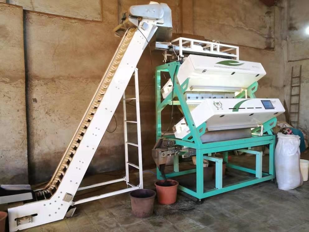 Black Green Tea Color Sorter Tea Optical Sorting Machine for Tea Processing