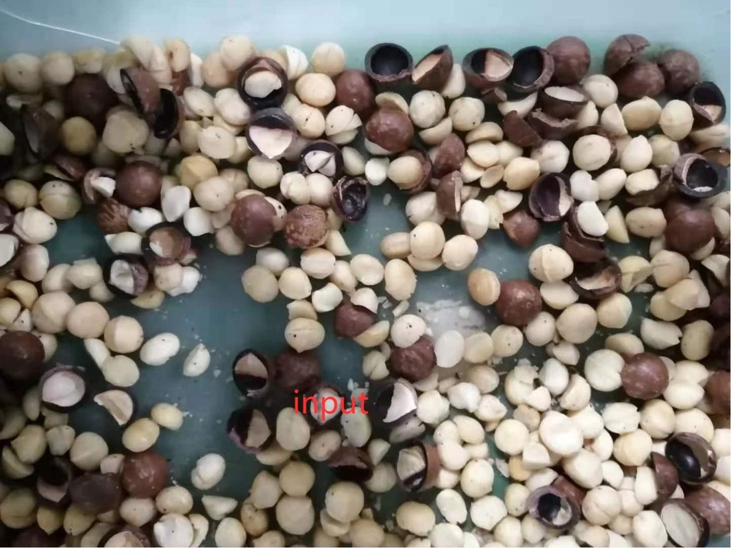 Big Capacity Macadamia Nuts Sorting Machine Open Pistachios Nut Shell Machine Almond Crushing Machine Color Sorter