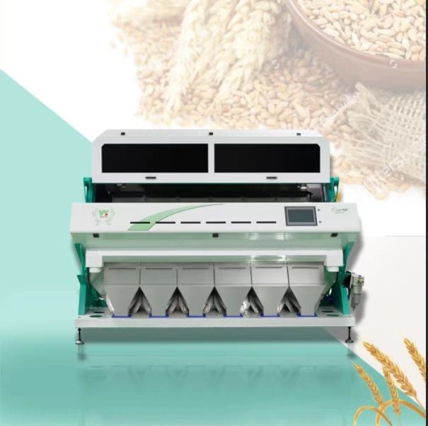 Turkey Fig Hazelnut Color Sorter Machine Rice CCD Coffee Bean Peanut Optical Color Sorter
