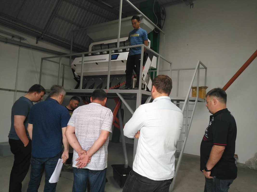 Turkey Fig Hazelnut Color Sorter Machine Rice CCD Coffee Bean Peanut Optical Color Sorter