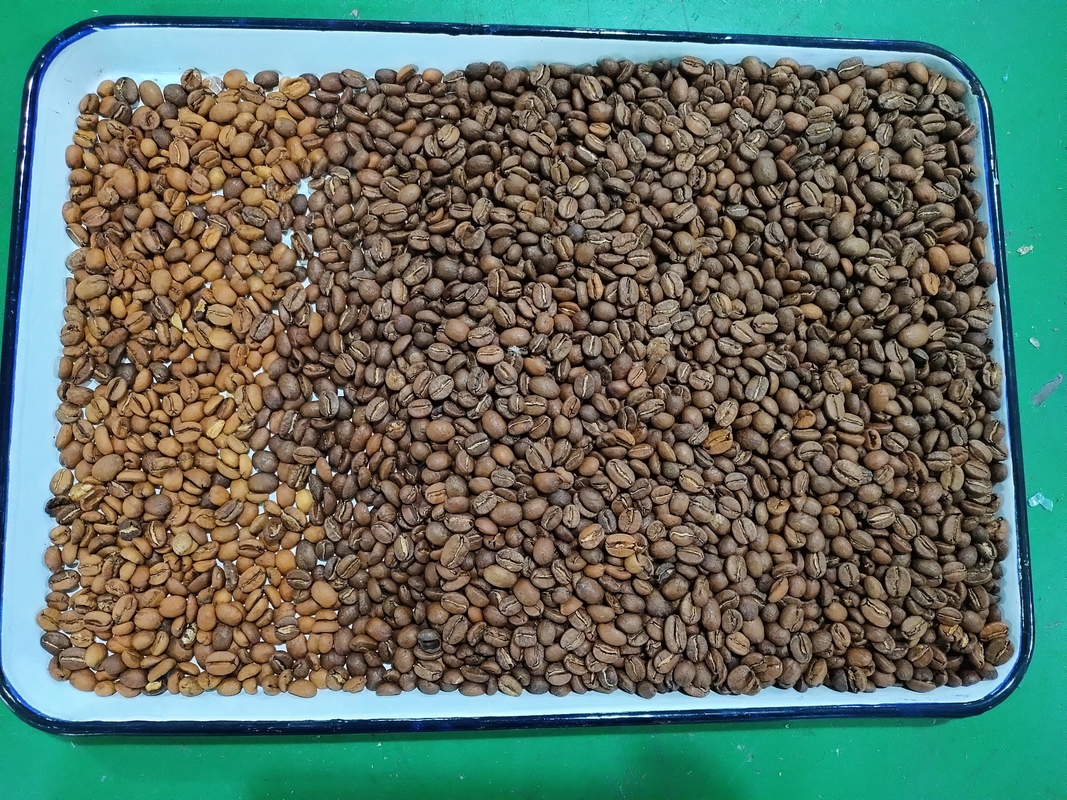Wenyao Automatic Chute Style Optical Coffee Bean Color Sorting Machine