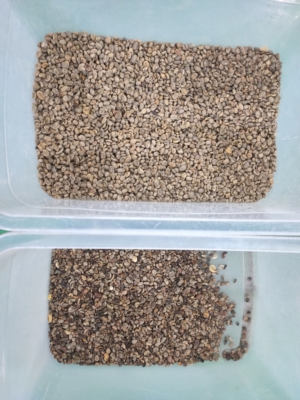 Wenyao Automatic Chute Style Optical Coffee Bean Color Sorting Machine
