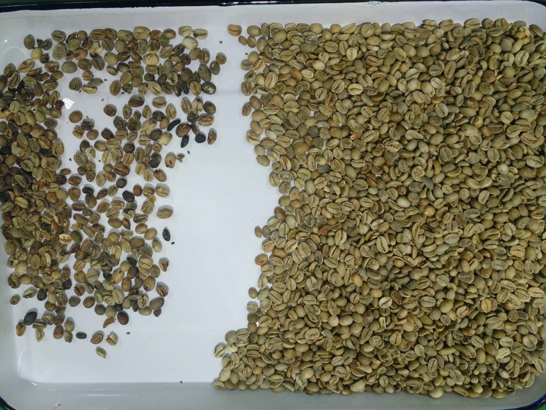 China Customized Food Safety Optical Color Sorter CCD Color Sorting Machine For Coffee Bean