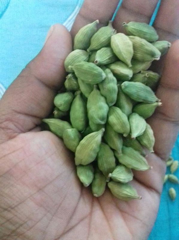 Wenyao 3 Chute Intelligent Corn Bean Cardamom Color Sorter Machine