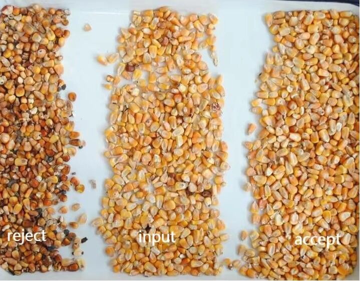 Automatically 7 Chute Style High Technology AI Color Sorter Machine with 99.99% Sorting Accuracy and Toshiba CCD Sensor