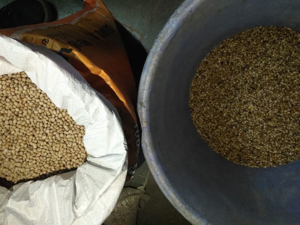 Wenyao Chinese Factory Direct Sale 4 Chute Soya Bean Color Sorter Machine
