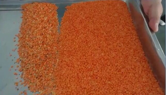 320-Channel CCD Color Sorter for Rice Grains Beans with 99.99% Accuracy