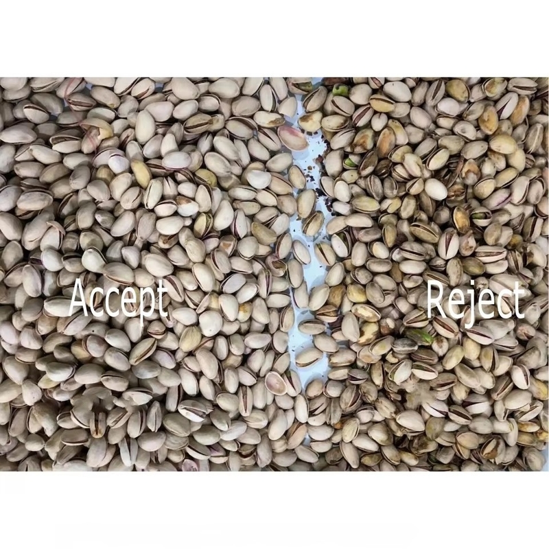 AI Learning Intelligent Belt Style Peanut Hazelnut Pistachio Nuts Color Sorter Machine