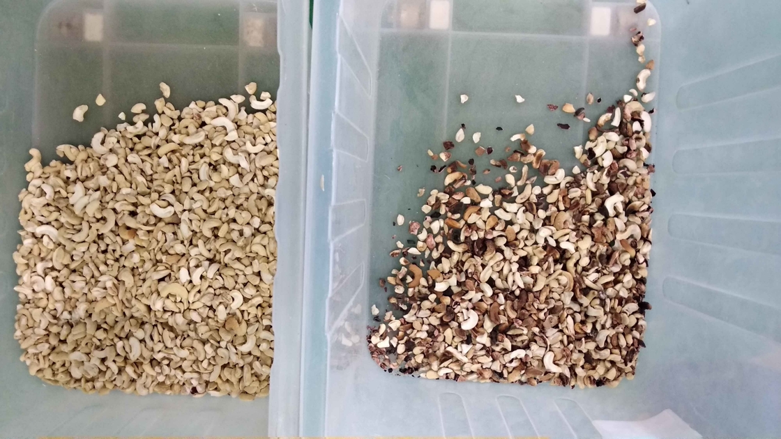 Intelligent 6 Chute Cashew Nut Color Sorting Machine with Toshiba CCD Sensor and RGB Camera