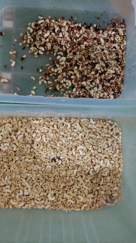 Wenyao High Sorting Speed Good Price Intelligent Cashew Nuts Almond Color Sorting Machine
