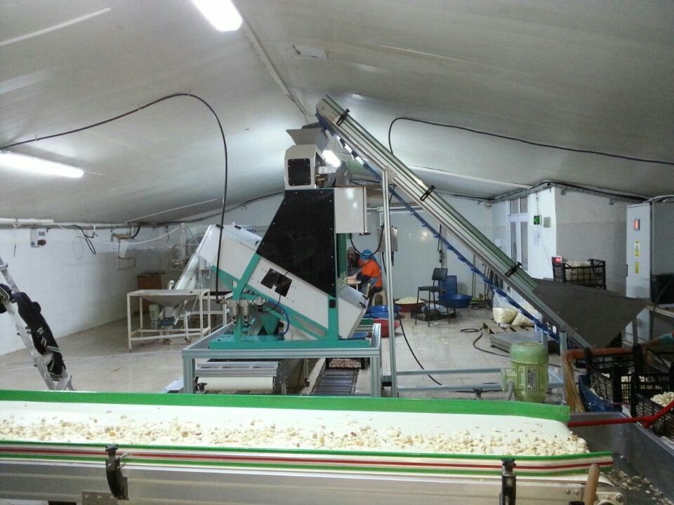 Optical CCD Camera Plastic Color Sorting MachinePlastic Pet Granules  Flakes  Sorting Machine