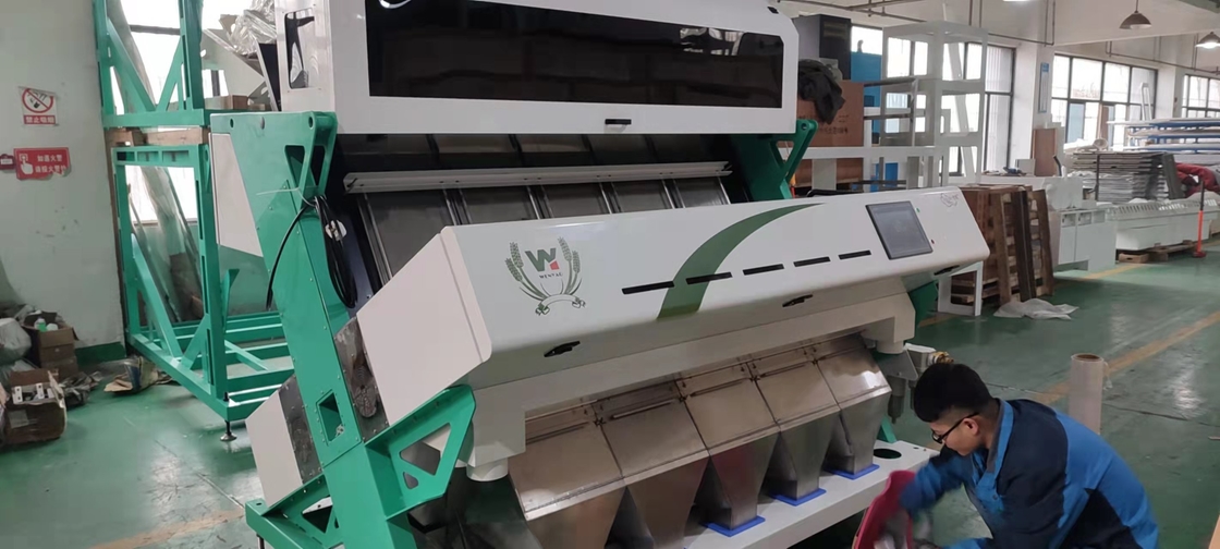 Optical CCD Camera Plastic Color Sorting MachinePlastic Pet Granules  Flakes  Sorting Machine