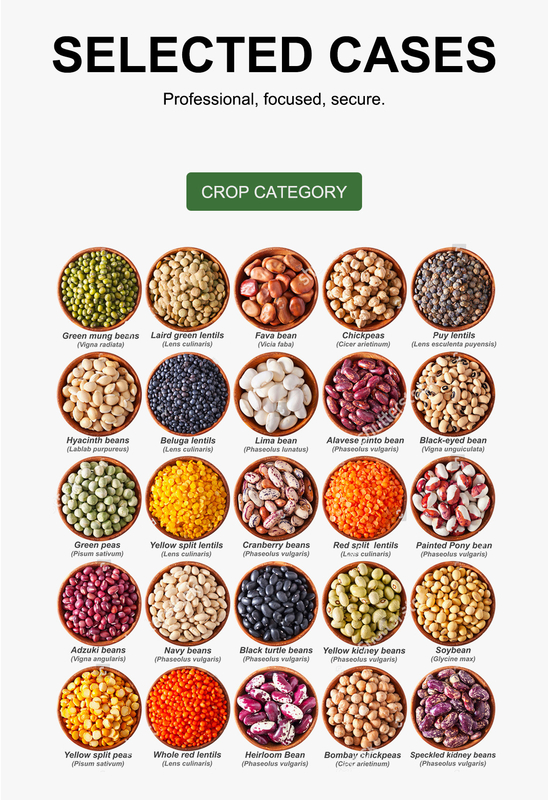 Wenyao 7 Chutes Reliable Performance Multi Color Sorting Rice Optical Sorter Yellow Millet Color Sorter