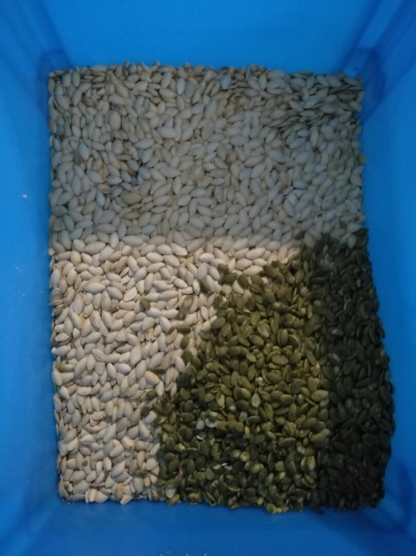 Wenyao Newest Optical CE Certificate Pumpkin Seeds Watermelon Seeds Color Sorting Machine