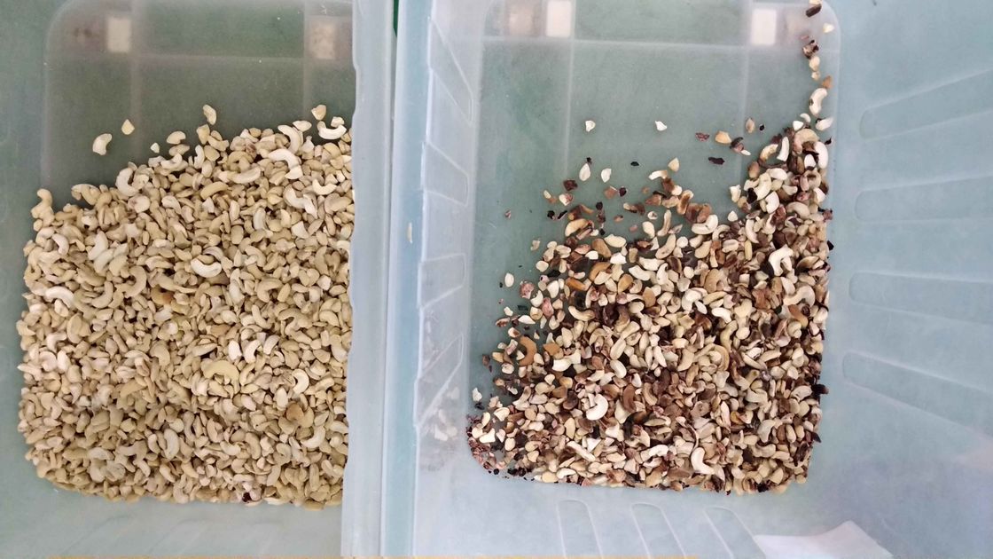 Chute Type Peanut Separation Machine Intelligent Color Sorter For Nut