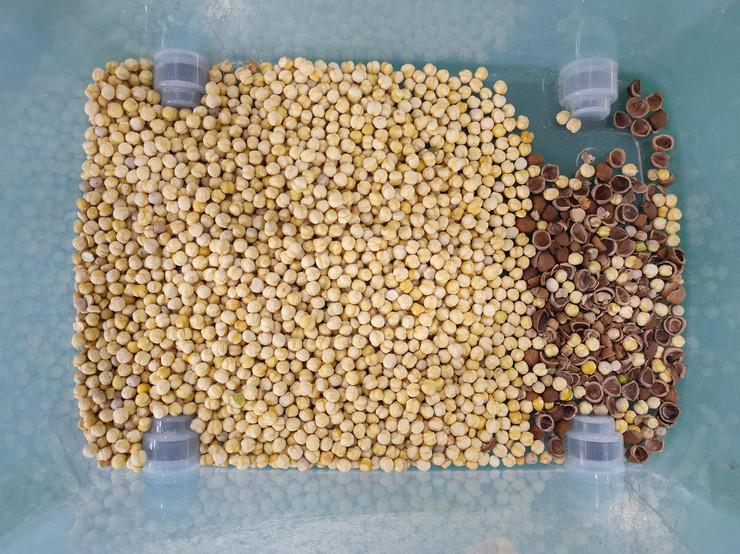 Wenyao Intelligent Chute Style Nut Shell and Kernel Separating Machine Nut Color Sorter Machine 64 Channels