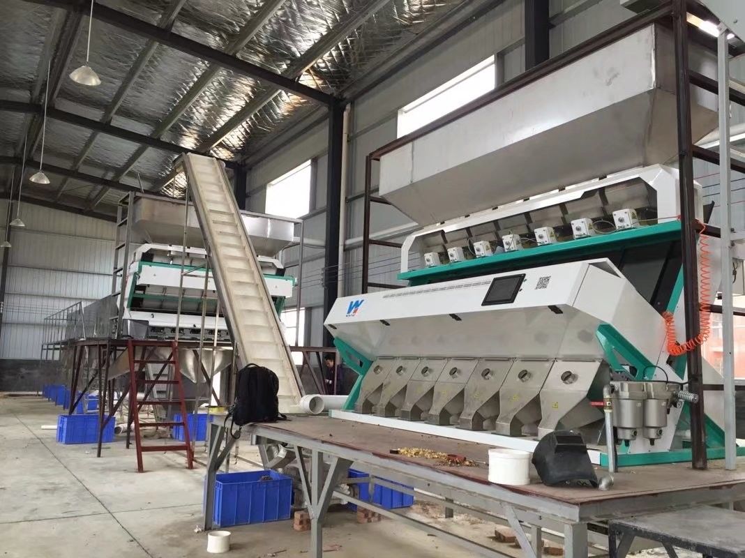 Automatically 7 Chute Style High Technology AI Color Sorter Machine with 99.99% Sorting Accuracy and Toshiba CCD Sensor