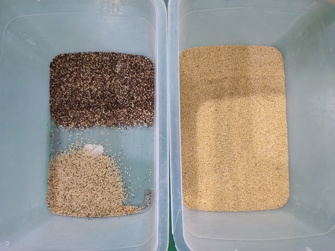 Automatic Optical 7 Chute Style High Technology aI Roseship Seed Rapeseeds Color Sorter Machine