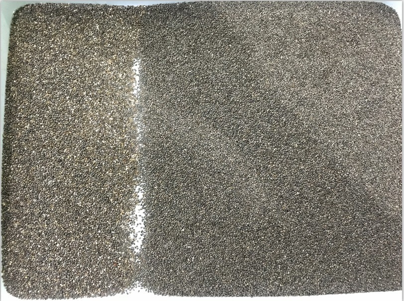 Wenyao 2025 Hot Selling Seeds Sorting Full Automatic Chia Seeds Flax Seeds Color Sorter Machine