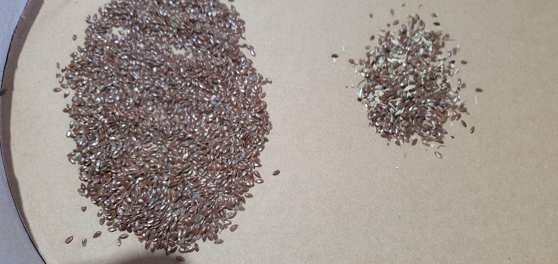 Wenyao 2025 Hot Selling Seeds Sorting Full Automatic Chia Seeds Flax Seeds Color Sorter Machine