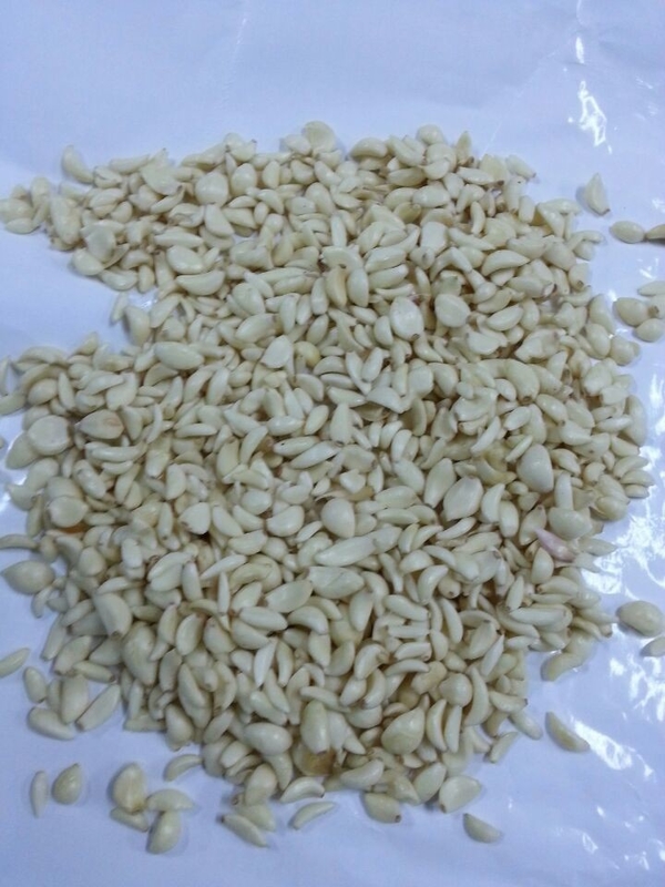Garlic Clove Sorting Machine Garlic Color Sorter for Food Processing