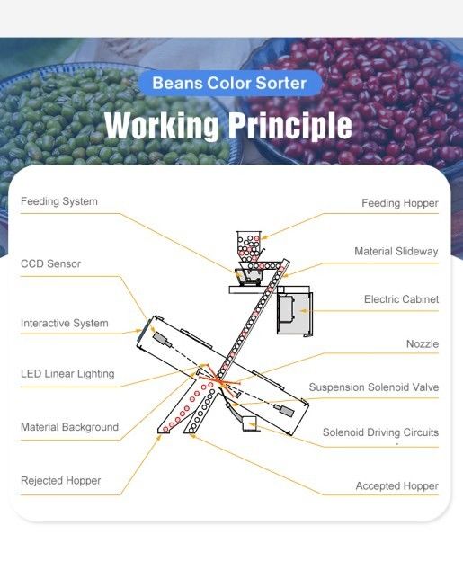Grain Processing Rice Color Sorter Optical Chute Type