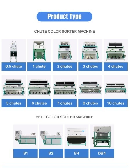 WENYAO Quinoa Grain Color Sorting Machine With CCD Camera