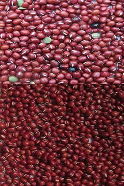 High Accuracy Intelligent Kidney Bean Red Bean Optical Color Sorter Machine