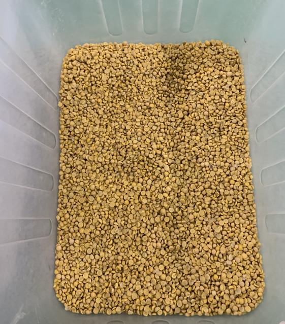 Wenyao Full Automatic 3 Chute Soya Bean Broad Bean Kidney Bean Color Sorter Machine