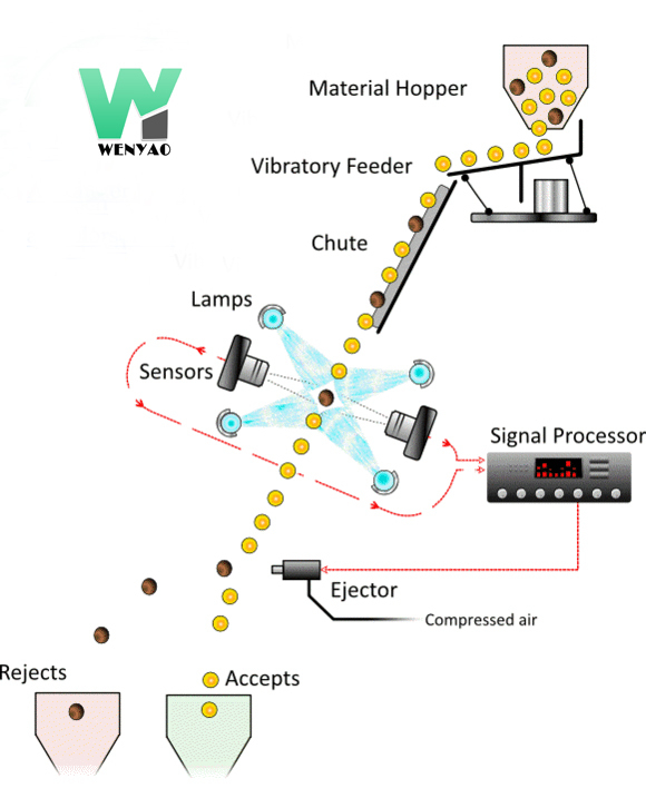 Wenyao Wifi Remote Control Apricot Color Sorter Optical Coffee Bean Nut Color Separator Machine