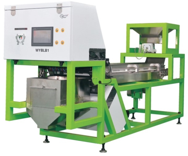 CCD Camera Optical Garlic Colour Sorting Peeling Garlic Removing Spotted Machine Walnut Garlic Cherry Coffee Color Sorter Machine with CE