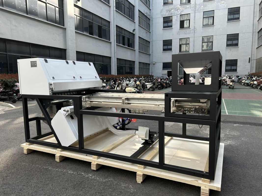 High Speed Hazelnut Color Sorting Machine For Hzelnut Optical Color Sorter