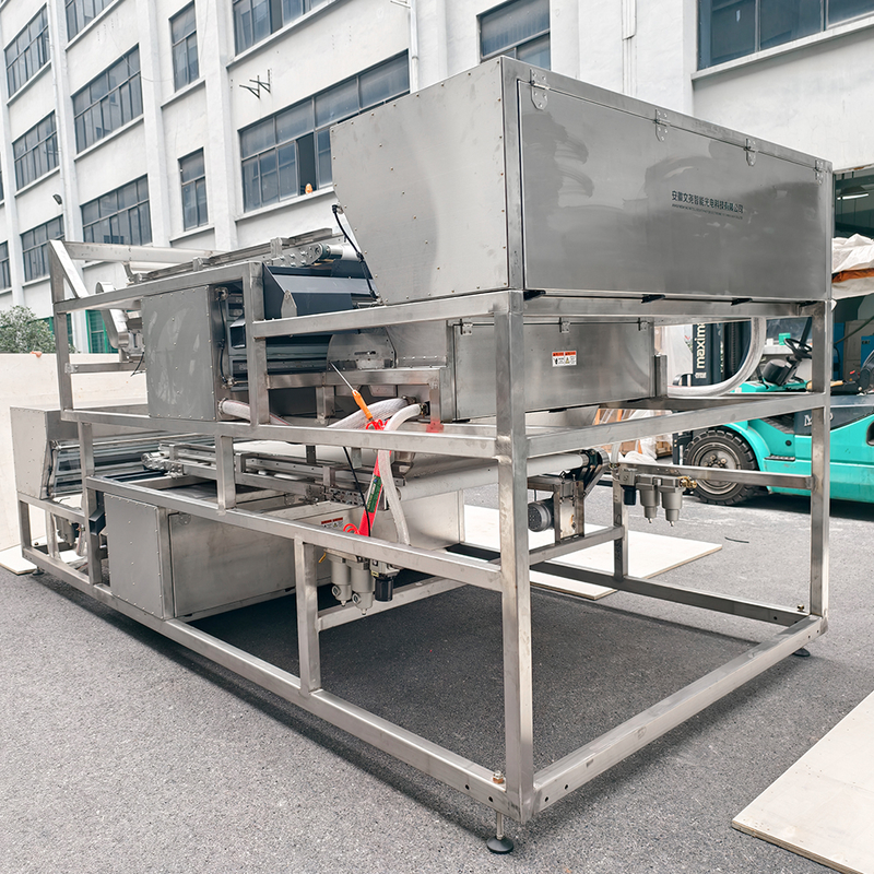 1200mm Belt Waterproof Stainless Steel Juniper Color Sorting Machine Frozen Strawberry Color Sorter