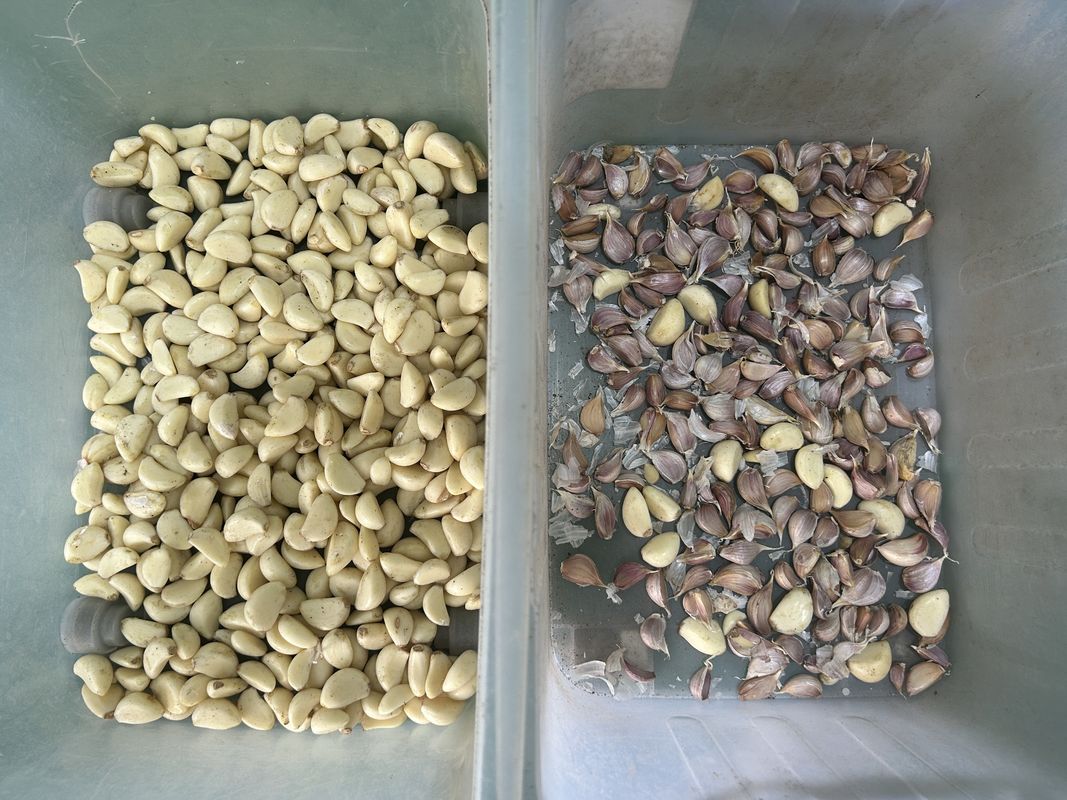 Simple Operation Belt Mineral Ore Color Separator Machinery Ore Color Sorter