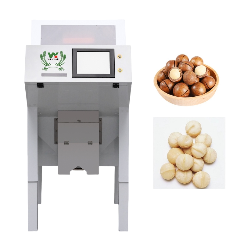 Accuracy CCD Camera Automatic Macadamia Nut Color Sorting Machine