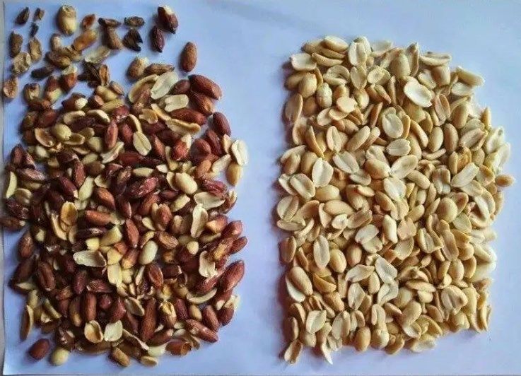 Wenyao Nut Processing Equipment Color Sorter With CCD Camera LED Light